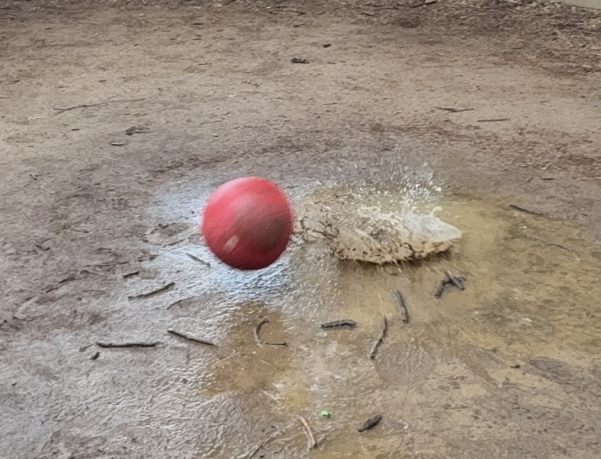 Today's big winner - the Gaga puddle